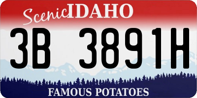 ID license plate 3B3891H