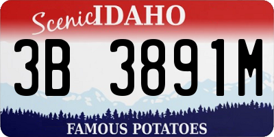 ID license plate 3B3891M