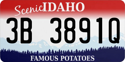 ID license plate 3B3891Q