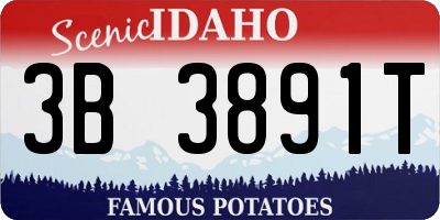 ID license plate 3B3891T