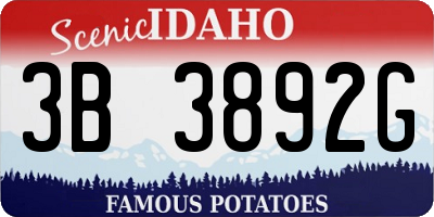 ID license plate 3B3892G
