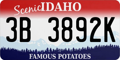 ID license plate 3B3892K