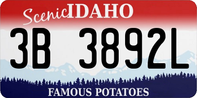 ID license plate 3B3892L