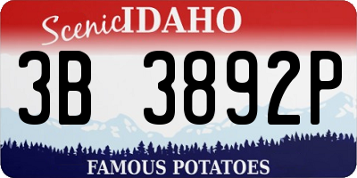 ID license plate 3B3892P