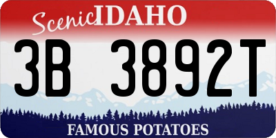 ID license plate 3B3892T