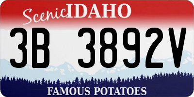 ID license plate 3B3892V