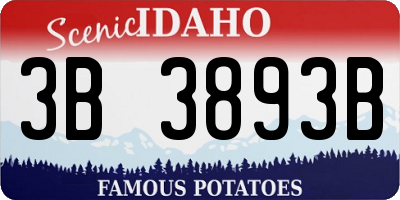 ID license plate 3B3893B
