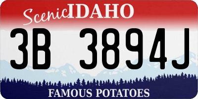 ID license plate 3B3894J