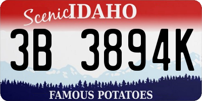 ID license plate 3B3894K