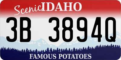 ID license plate 3B3894Q
