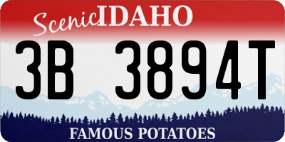 ID license plate 3B3894T