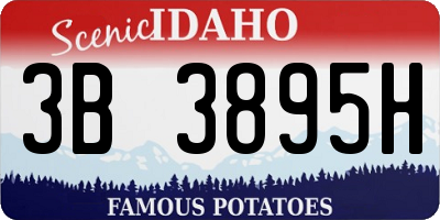 ID license plate 3B3895H