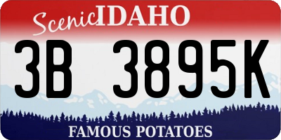 ID license plate 3B3895K