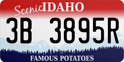 ID license plate 3B3895R
