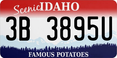 ID license plate 3B3895U