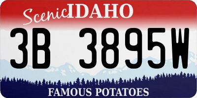 ID license plate 3B3895W