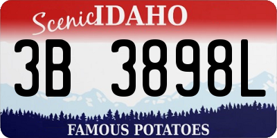 ID license plate 3B3898L