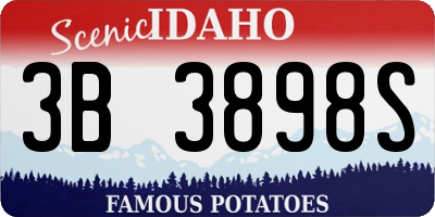 ID license plate 3B3898S