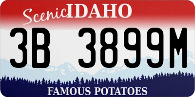 ID license plate 3B3899M