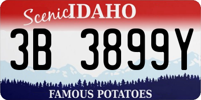 ID license plate 3B3899Y