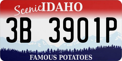ID license plate 3B3901P
