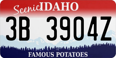 ID license plate 3B3904Z