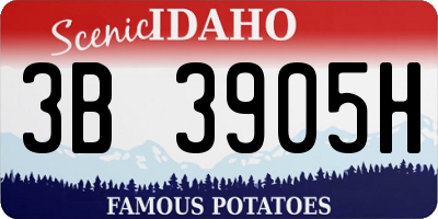 ID license plate 3B3905H