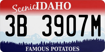 ID license plate 3B3907M