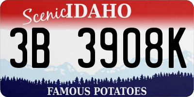 ID license plate 3B3908K