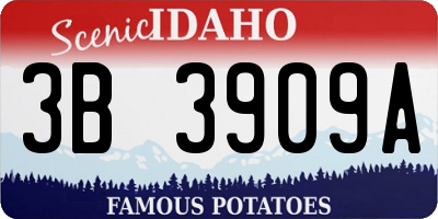 ID license plate 3B3909A