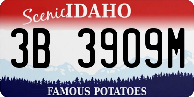 ID license plate 3B3909M