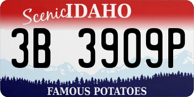 ID license plate 3B3909P
