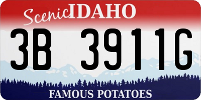ID license plate 3B3911G