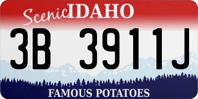 ID license plate 3B3911J