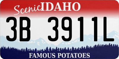 ID license plate 3B3911L