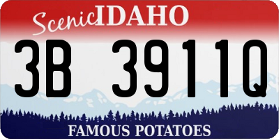 ID license plate 3B3911Q