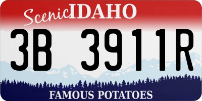 ID license plate 3B3911R