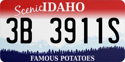 ID license plate 3B3911S