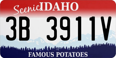 ID license plate 3B3911V