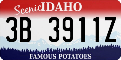 ID license plate 3B3911Z