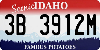 ID license plate 3B3912M