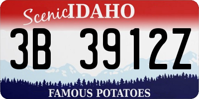 ID license plate 3B3912Z