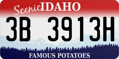 ID license plate 3B3913H
