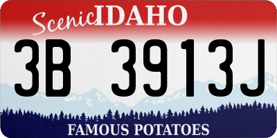 ID license plate 3B3913J