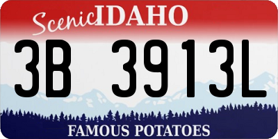 ID license plate 3B3913L