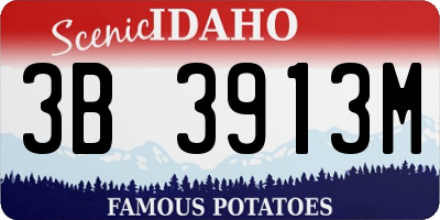 ID license plate 3B3913M