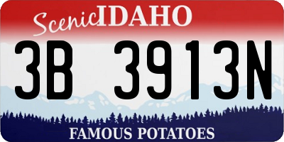 ID license plate 3B3913N