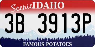 ID license plate 3B3913P