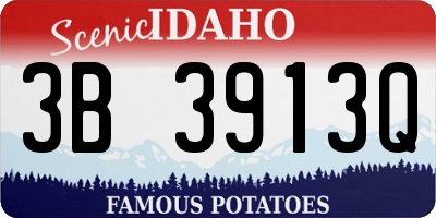 ID license plate 3B3913Q
