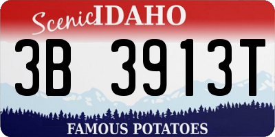 ID license plate 3B3913T